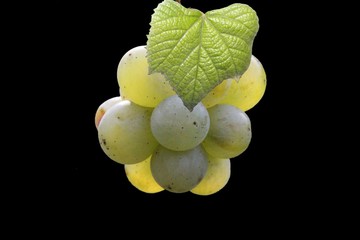 bunch of grapes isolated on  black background.