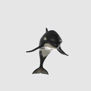 3d Illustration Killer Whale . 3d Model Of Fish With Open Mouth.