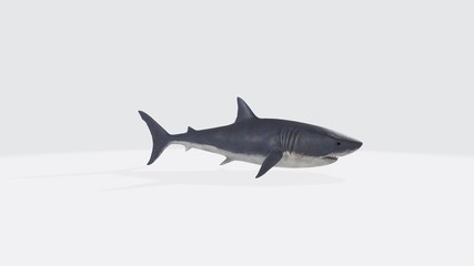 3d illustration of shark. 3d model of fish with open mouth.