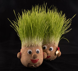 Germinated wheat, a tradition of Saint Andrew’s Day. Handmade doll stuffed with wood shavings
