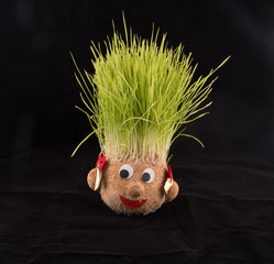 Germinated wheat, a tradition of Saint Andrew’s Day. Handmade doll stuffed with wood shavings
