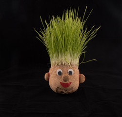Germinated wheat, a tradition of Saint Andrew’s Day. Handmade doll stuffed with wood shavings