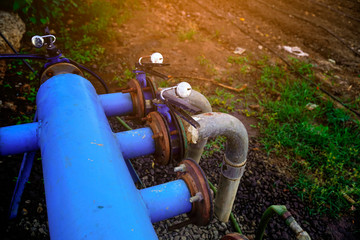Fototapeta na wymiar Drip irrigation system. Water saving drip irrigation system
