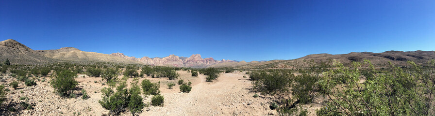 Panoramic view, landscape of desert with hill, sand and cactus, mountains. Nevada