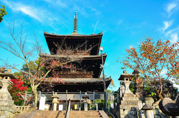 Fototapeta na wymiar 京都の金戒光明寺