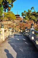 Obraz premium 京都の金戒光明寺