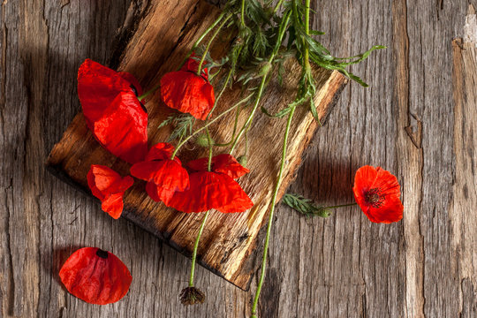 Still life with red poppies on a wooden old background. Top view