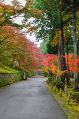 京都の曼殊院の紅葉