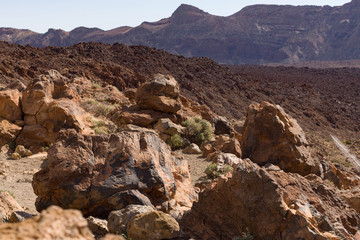 vulcanic rocky landscape  near vulcan Teide on on island Tenerife 