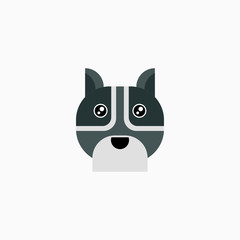 Vector Flat Raccoon's face isolated. Cartoon style illustration. Animal's head logo. Object for web, poster, banner, print design