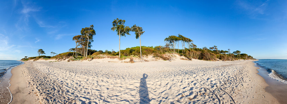 Sand dunes on West beach in Prerow (Germany)