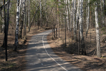Sports track in the spring forest with dedicated lanes for cyclists and runners.