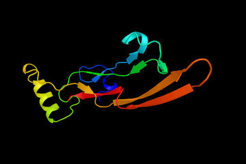 Transforming growth factor-beta 2, a secreted protein known as a cytokine that performs many cellular functions and has a vital role during embryonic development. 3d rendering