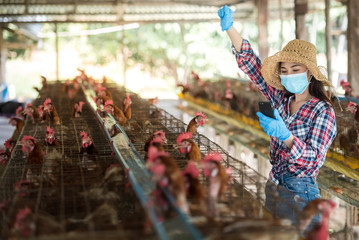 Agriculture: Asian women farm to raise chickens and sell eggs. Agriculture Asian women wear medical masks She is happy to be successful in ordering and selling chicken eggs online. © เลิศลักษณ์ ทิพชัย