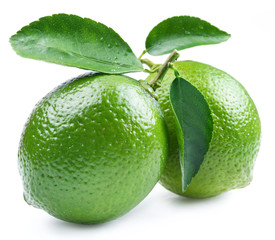 Two Lime citrus fruit with a leaves isolated on a white background.