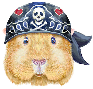 Watercolor portrait of Self guinea pig with bandana on white background