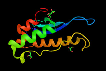 Phosphatidylinositol-4-phosphate 3-kinase C2 domain-containing alpha polypeptide, a protein shown to be able to be activated by insulin and which may be involved in integrin-dependent signaling