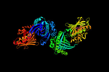 Phosphatidylinositol transfer protein alpha isoform, a cytosolic phospholipid transfer protein distinguished by the ability to transfer phospholipids between membranes in vitro. 3d rendering