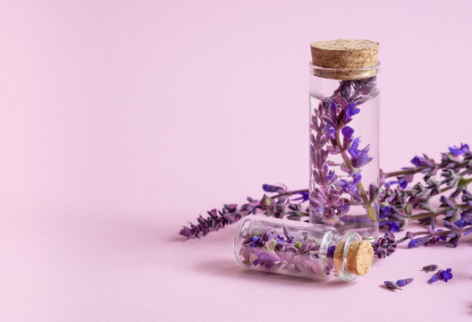 Herbal medicine. Glass bottles with essential and fresh sage flowers on pink background with free space for tex