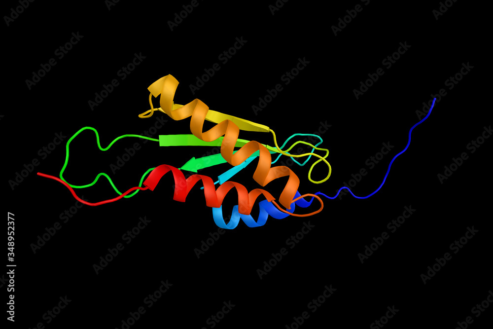 Wall mural E3 ubiquitin-protein ligase RNF25, an enzyme which has been shown to interact with RELA. 3d rendering