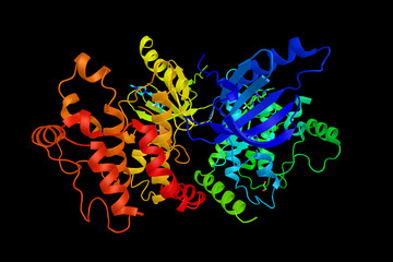 Fototapeta Receptor-interacting serine/threonine-protein kinase 2, an enzyme which is a component of signaling complexes in both the innate and adaptive immune pathways. 3d rendering obraz