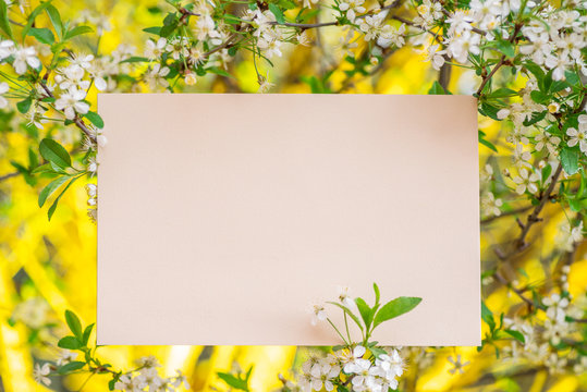 Paper Blank Between Cherry Branches In Blossom. Colorful Green And Yellow Nature Background.