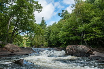 Naklejka na ściany i meble Rapids on Oxtongue river with rocks and trees Ontario Canada