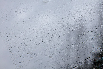 rain drops on a wet glass on the background of dark trees without focus