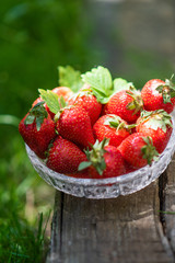 Strawberries in crystal bowl on green background, sunny fruits photography