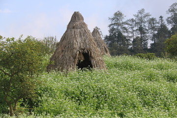 Haystack in a village