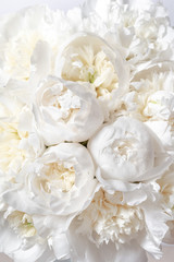 Obraz na płótnie Canvas White peony bouquet 