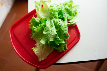 Lettuce in kitchen red plate