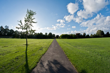Florence Park, Oxford, Oxfordshire, United Kingdom
