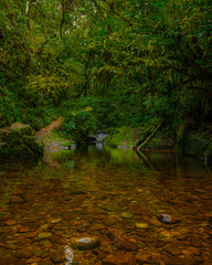 Cachoeira dos Ciganos - São José dos Pinhais - Paraná