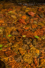 Cachoeira dos Ciganos - São José dos Pinhais - Paraná