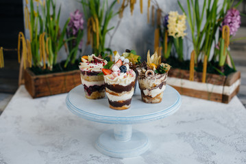 Set of beautiful delicious trifl close - up on the background. Dessert and sweets