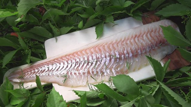 raw codfish lies on the board in the greens outside