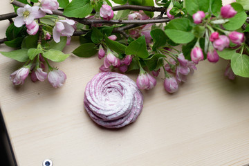 Flat lay on pink spiral marshmallow and apple tree branch with rose flowers on wooden background