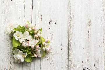 Apple blossom on a wooden white background. Copy space and horizontal orientation