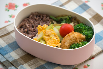 玄米のお弁当 Japanese lunch box