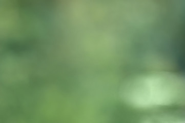 Blurred green backgound. Out of focus.