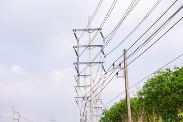 Transmission line of electricity to rural with green tree, High voltage electricity pole with...