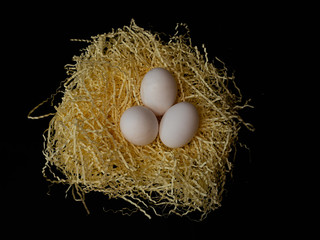 Natural eggs in nest. Best eco food.
