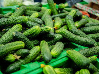 Lots of green cucumbers on the supermarket counter.