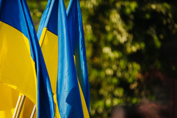 Ukrainian flags on a blurred green background on the street