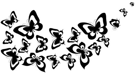 butterfly604
