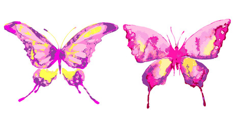 Obraz na płótnie Canvas butterfly602