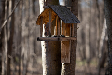 wooden bird house