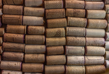 Wine cork collected in orderly rows. Background for winemakers and alcohol products. Natural cork texture for wine