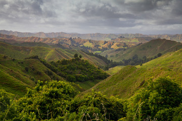 Obraz premium Rugged, lush landscape along New Zealand's Highway 43, also known as the Forgotten World Highway 